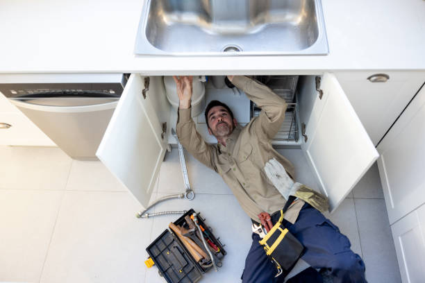 Best Water Softener Installation  in Caledonia, MN