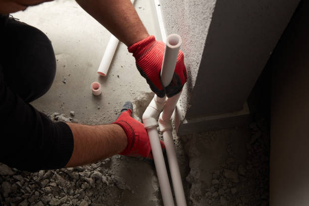 Best Plumbing Inspection Services  in Caledonia, MN