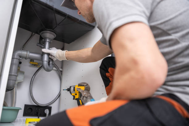 Best Plumbing Services Near Me  in Caledonia, MN
