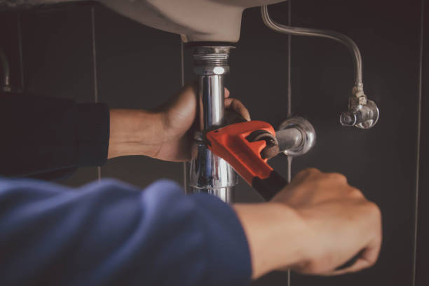 Best Commercial Plumbing Services  in Caledonia, MN