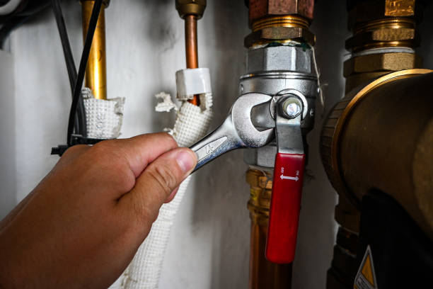 Best 24-Hour Plumber Near Me  in Caledonia, MN